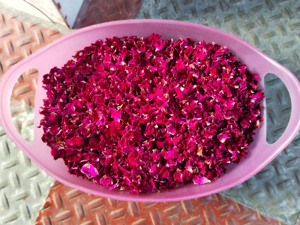 dried paneer rose petals