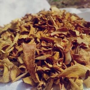 sun dried aloe vera slices (kumari) 100% pure & natural