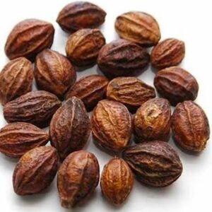 sun dried kadukkai (haritaki) whole & skin 100% pure & natural