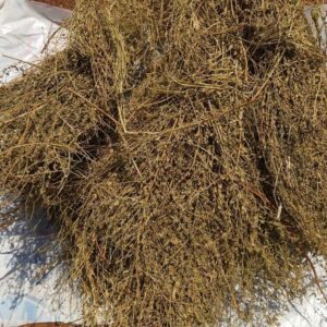 sun dried mavilangam patta (mevanalli) premium quality varuna bark/leaves