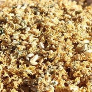 premium sun dried moringa flowers (drumstick flowers) 100% natural & nutrient rich