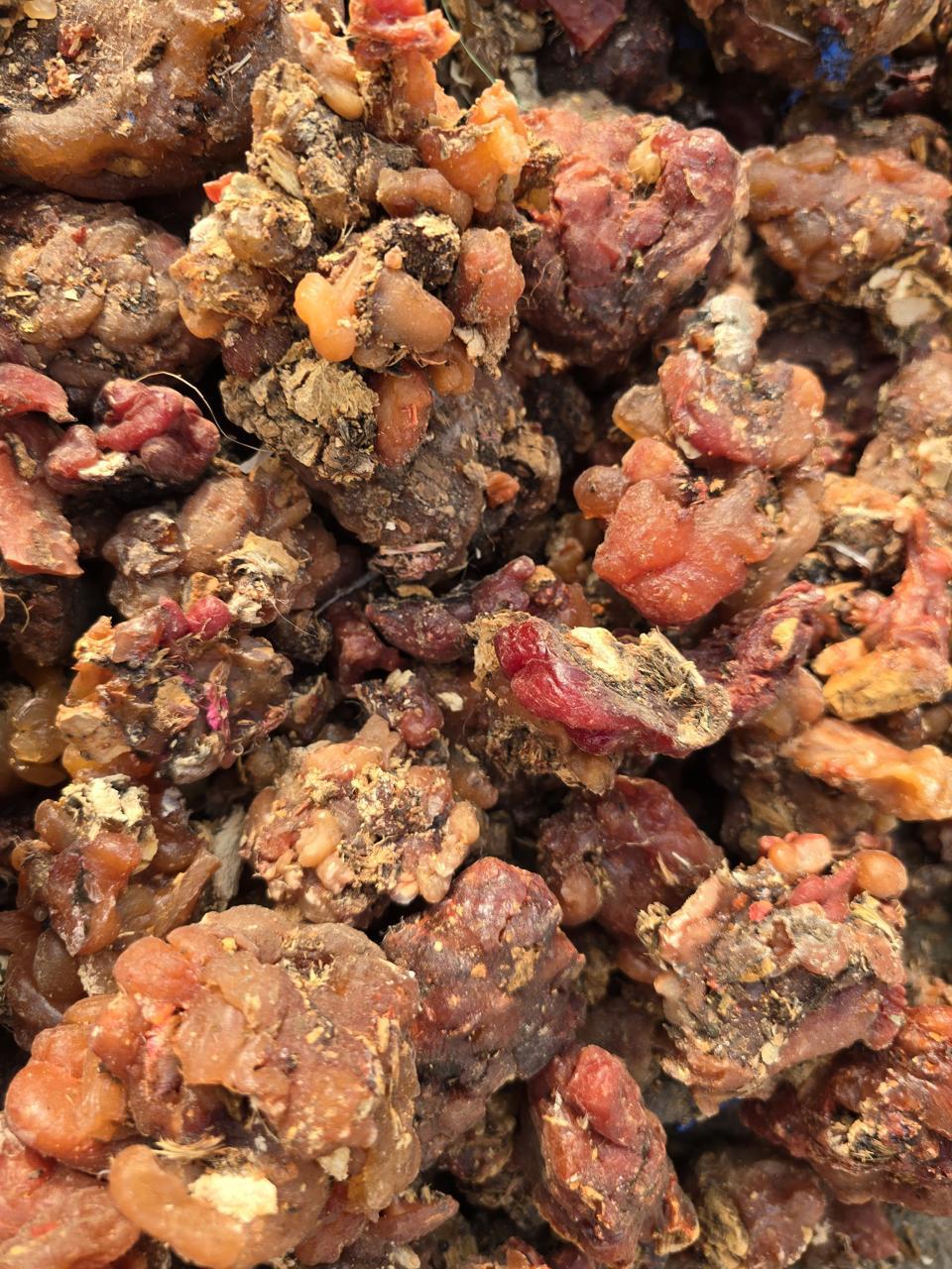 pure sun dried moringa pisin (moringa gum / murungai pisin) 100% natural pure sun dried moringa pisin (moringa gum / murungai pisin) 100% natural