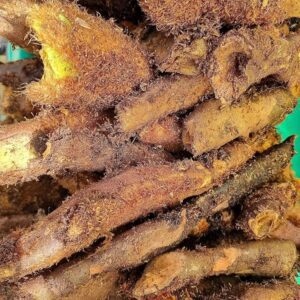 sun dried mudavattukal kilangu (goat’s foot fern root) 100% natural & wild crafted