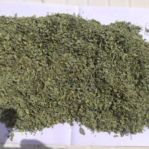 sun dried neeliavuri leaves (indigofera tinctoria) 100% pure & natural