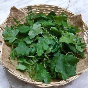 sun dried thudhuvalai leaves (purple fruited pea eggplant) 100% natural cold & cough relief